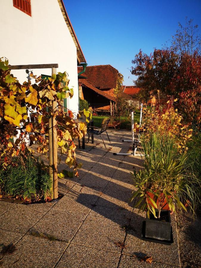 Ferienwohnungen Und Appartements Im Idyllischen Vierkanthof, Gruppenurlaube لويبرسدورف باي فرس المظهر الخارجي الصورة